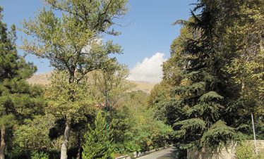 Persia